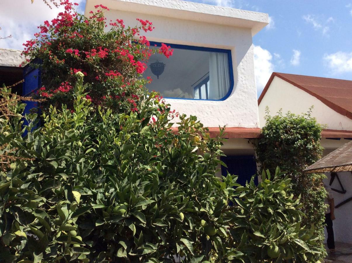 La Casa De Las Higueras Dar Karmus Tétouan 외부 사진
