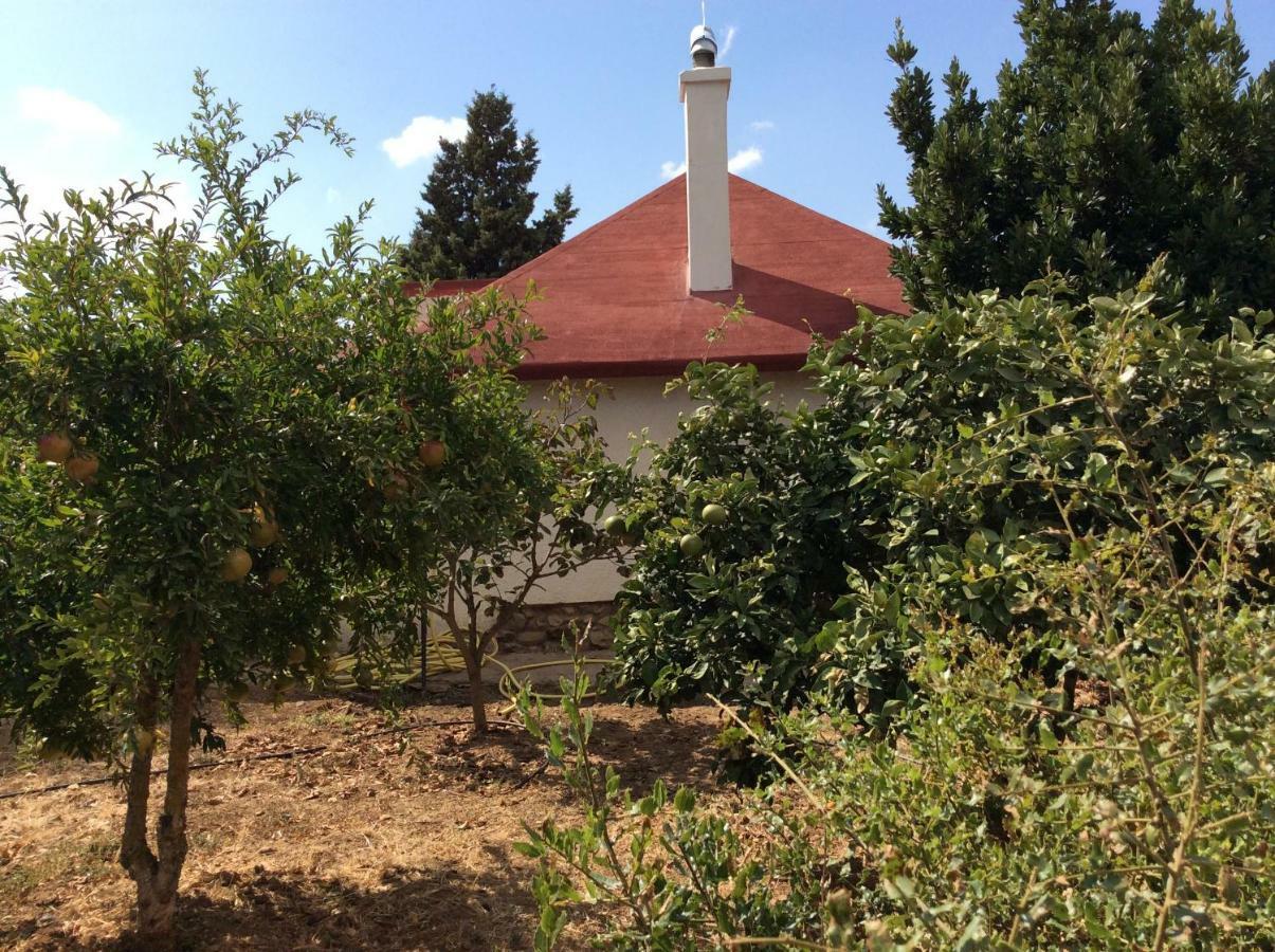 La Casa De Las Higueras Dar Karmus Tétouan 외부 사진