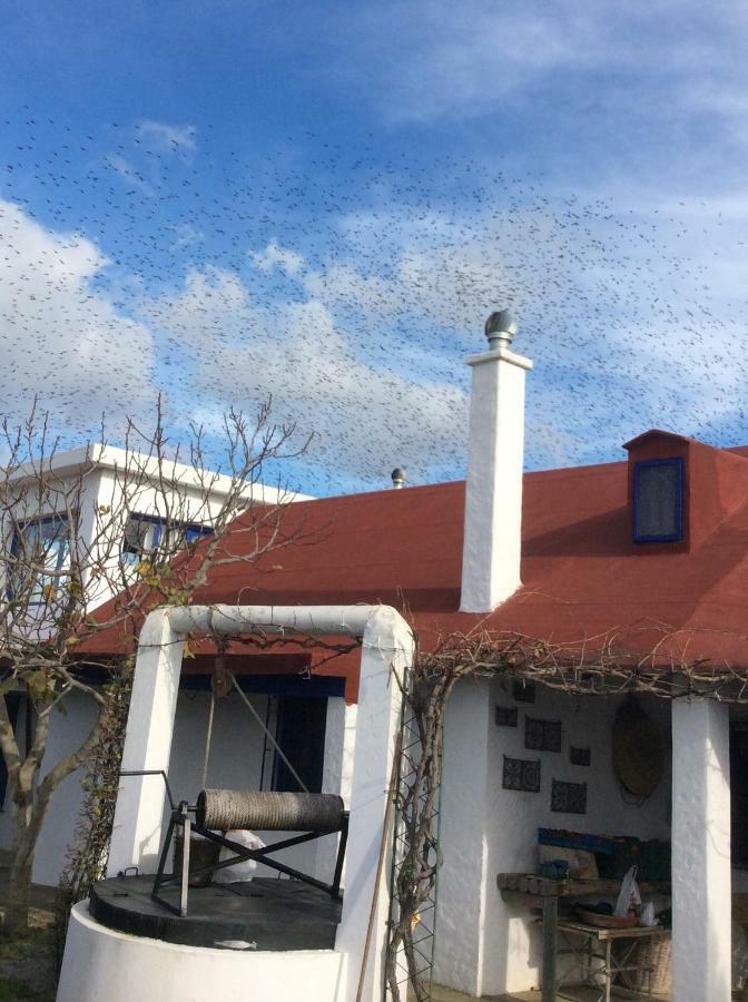 La Casa De Las Higueras Dar Karmus Tétouan 외부 사진