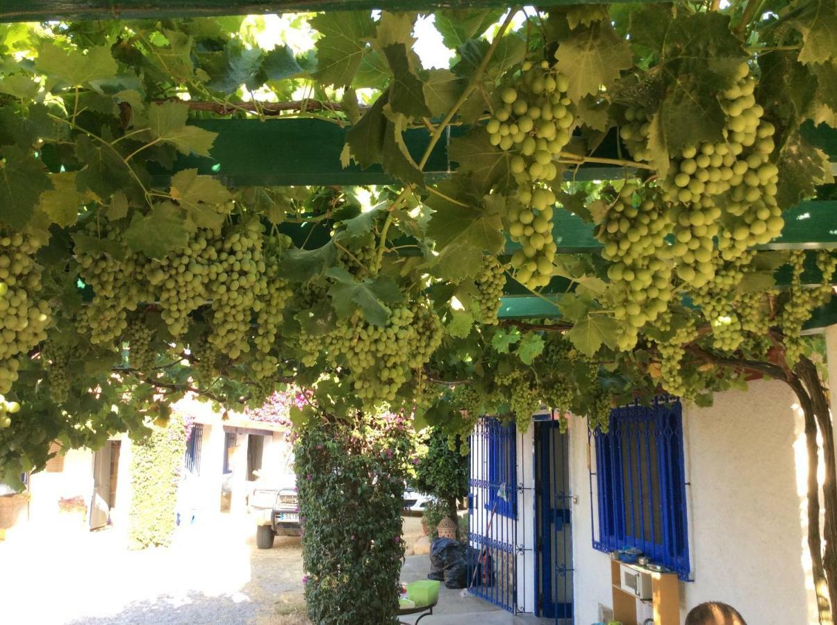 La Casa De Las Higueras Dar Karmus Tétouan 외부 사진